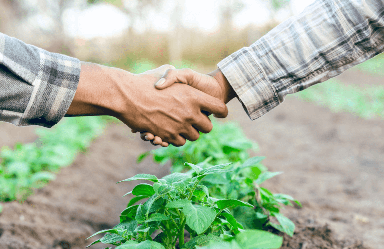 CONTRATO DE INTEGRAÇÃO ENTRE PRODUTORES RURAIS E AGROINDÚSTRIAS NO AGRONEGÓCIO. O QUE É? E COMO FUNCIONA? O QUE DIZ A LEI 13.288/2016?
