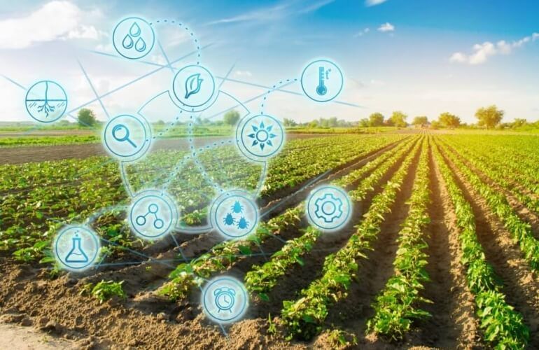 O Futuro do Agronegócio Brasileiro – Inovação, Compliance e Sustentabilidade