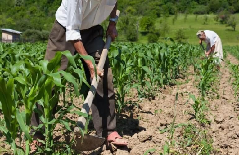 O que acontece com a parceria rural quando uma das partes morre? Guia jurídico e preventivo