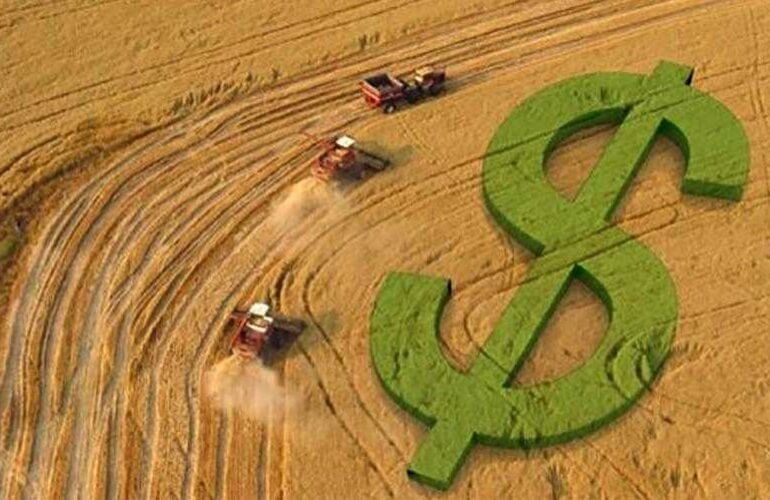O Registro da Reserva Legal no Imóvel Rural e Seus Impactos Tributários no ITR.