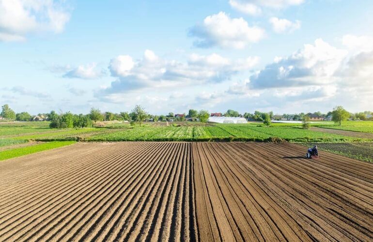 Reorganização Societária e Fundiária no Agronegócio: o Case de Aquisição pela SLC Agrícola